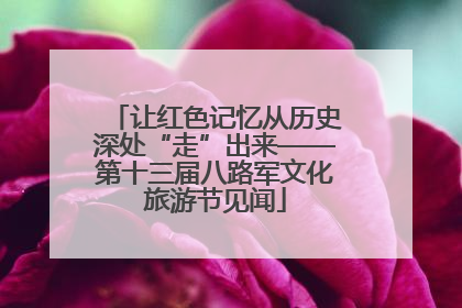 让红色记忆从历史深处“走”出来——第十三届八路军文化旅游节见闻