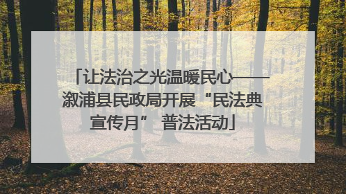 让法治之光温暖民心——溆浦县民政局开展“民法典宣传月” 普法活动