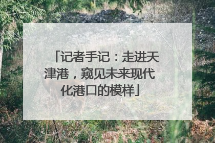 记者手记：走进天津港，窥见未来现代化港口的模样