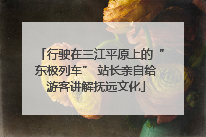 行驶在三江平原上的“东极列车” 站长亲自给游客讲解抚远文化