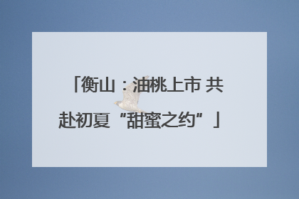 衡山：油桃上市 共赴初夏“甜蜜之约”