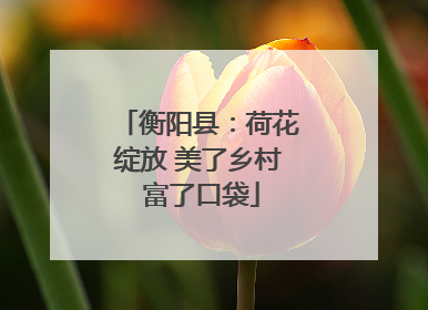 衡阳县：荷花绽放 美了乡村 富了口袋