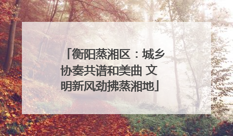 衡阳蒸湘区：城乡协奏共谱和美曲 文明新风劲拂蒸湘地
