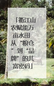 衢江山农赋能万亩水田 从“粮仓”到“品牌”的共富密码