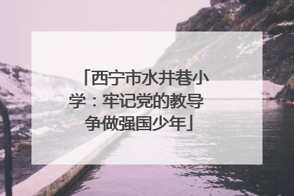 西宁市水井巷小学：牢记党的教导 争做强国少年