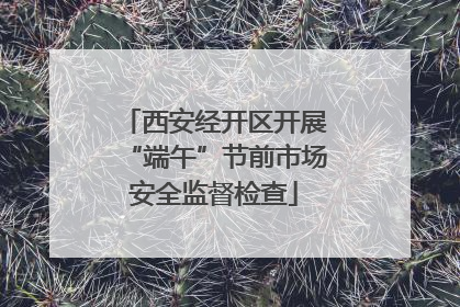 西安经开区开展“端午”节前市场安全监督检查