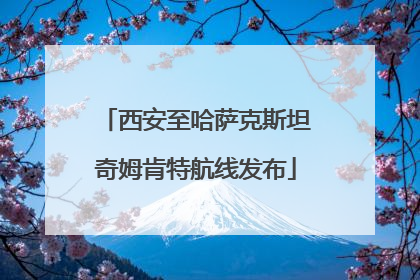西安至哈萨克斯坦奇姆肯特航线发布