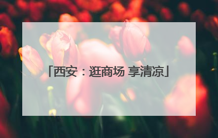 西安：逛商场 享清凉