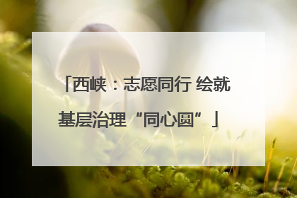 西峡：志愿同行 绘就基层治理“同心圆”