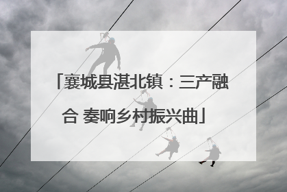 襄城县湛北镇：三产融合 奏响乡村振兴曲