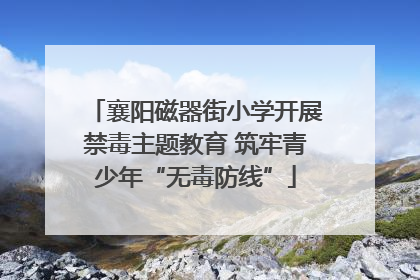 襄阳磁器街小学开展禁毒主题教育 筑牢青少年“无毒防线”