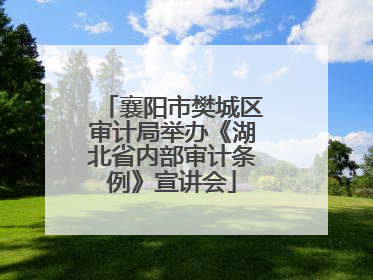 襄阳市樊城区审计局举办《湖北省内部审计条例》宣讲会