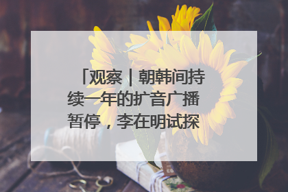 观察｜朝韩间持续一年的扩音广播暂停，李在明试探性将球踢向朝鲜
