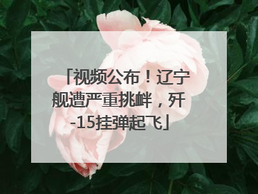 视频公布！辽宁舰遭严重挑衅，歼-15挂弹起飞