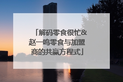 解码零食很忙&赵一鸣零食与加盟商的共赢方程式