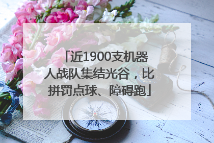 近1900支机器人战队集结光谷，比拼罚点球、障碍跑