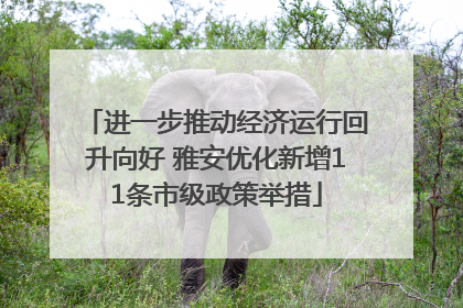 进一步推动经济运行回升向好 雅安优化新增11条市级政策举措