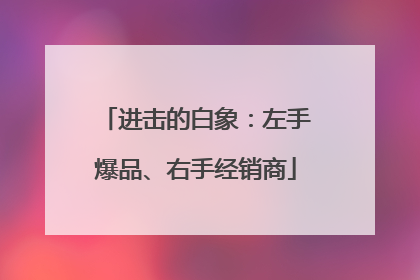 进击的白象：左手爆品、右手经销商