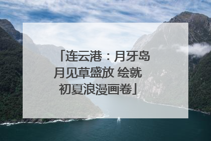 连云港：月牙岛月见草盛放 绘就初夏浪漫画卷