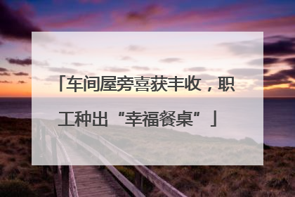 车间屋旁喜获丰收，职工种出“幸福餐桌”