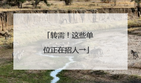 转需！这些单位正在招人→
