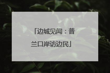 边城见闻：普兰口岸访边民