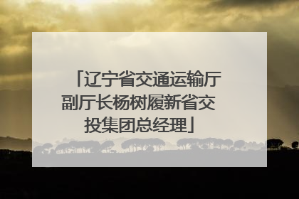 辽宁省交通运输厅副厅长杨树履新省交投集团总经理