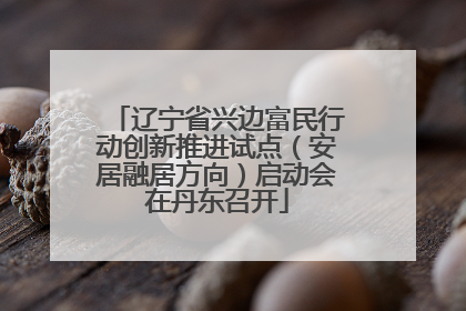 辽宁省兴边富民行动创新推进试点（安居融居方向）启动会在丹东召开