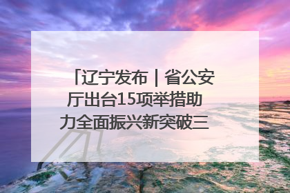 辽宁发布｜省公安厅出台15项举措助力全面振兴新突破三年行动决胜之战