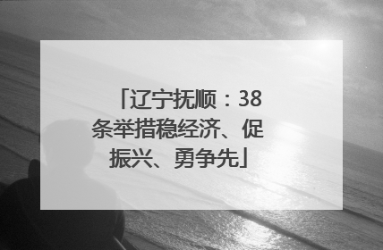 辽宁抚顺：38条举措稳经济、促振兴、勇争先