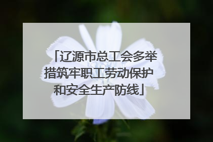 辽源市总工会多举措筑牢职工劳动保护和安全生产防线