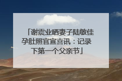 谢震业晒妻子陆敏佳孕肚照官宣喜讯：记录下第一个父亲节