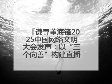 谦寻董海锋2025中国网络文明大会发声：以“三个向善”构建直播电商善意长河