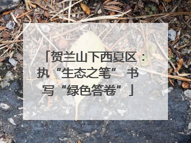 贺兰山下西夏区：执“生态之笔” 书写“绿色答卷”