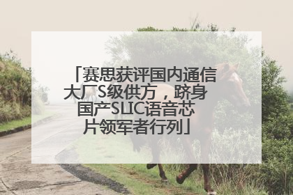 赛思获评国内通信大厂S级供方，跻身国产SLIC语音芯片领军者行列