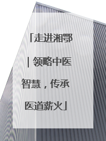 走进湘鄂｜领略中医智慧，传承医道薪火