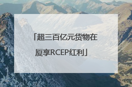 超三百亿元货物在厦享RCEP红利