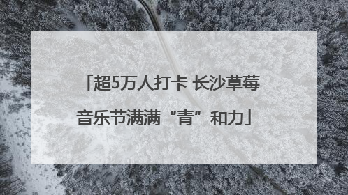 超5万人打卡 长沙草莓音乐节满满“青”和力