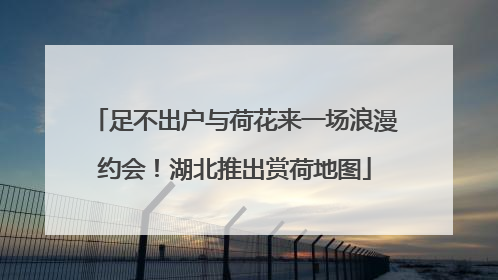 足不出户与荷花来一场浪漫约会！湖北推出赏荷地图
