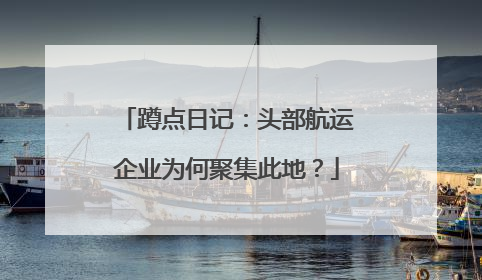 蹲点日记：头部航运企业为何聚集此地？