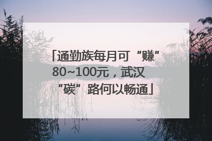 通勤族每月可“赚”80~100元，武汉“碳”路何以畅通