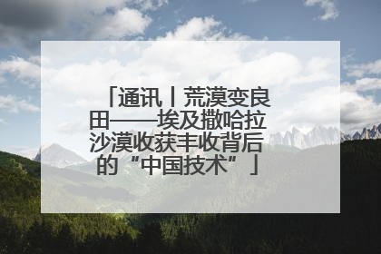 通讯丨荒漠变良田——埃及撒哈拉沙漠收获丰收背后的“中国技术”