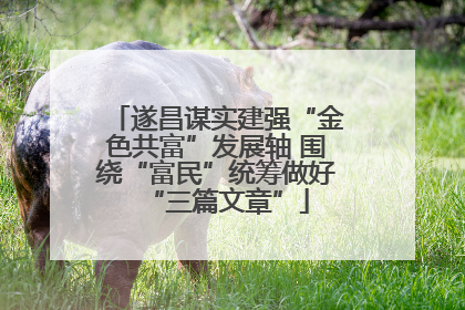 遂昌谋实建强“金色共富”发展轴 围绕“富民”统筹做好“三篇文章”
