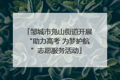 邹城市凫山街道开展“助力高考 为梦护航”志愿服务活动