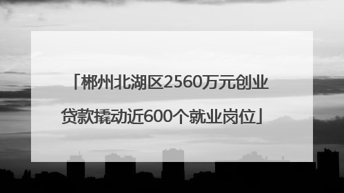 郴州北湖区2560万元创业贷款撬动近600个就业岗位