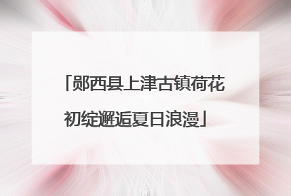 郧西县上津古镇荷花初绽邂逅夏日浪漫