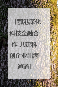 鄂港深化科技金融合作 共建科创企业出海通道