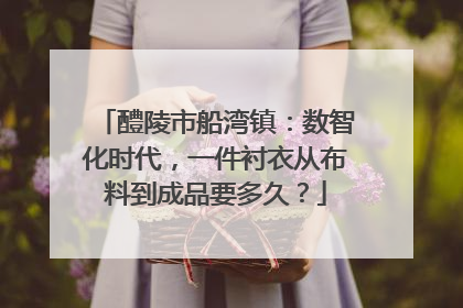 醴陵市船湾镇：数智化时代，一件衬衣从布料到成品要多久？