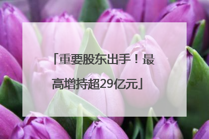 重要股东出手！最高增持超29亿元