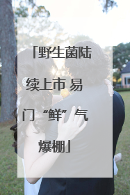 野生菌陆续上市 易门“鲜”气爆棚